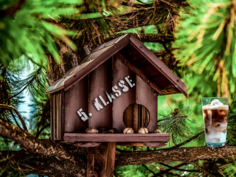 Fuglerap (5. Klasse) (Single)