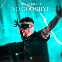 No Goodbye (Single)