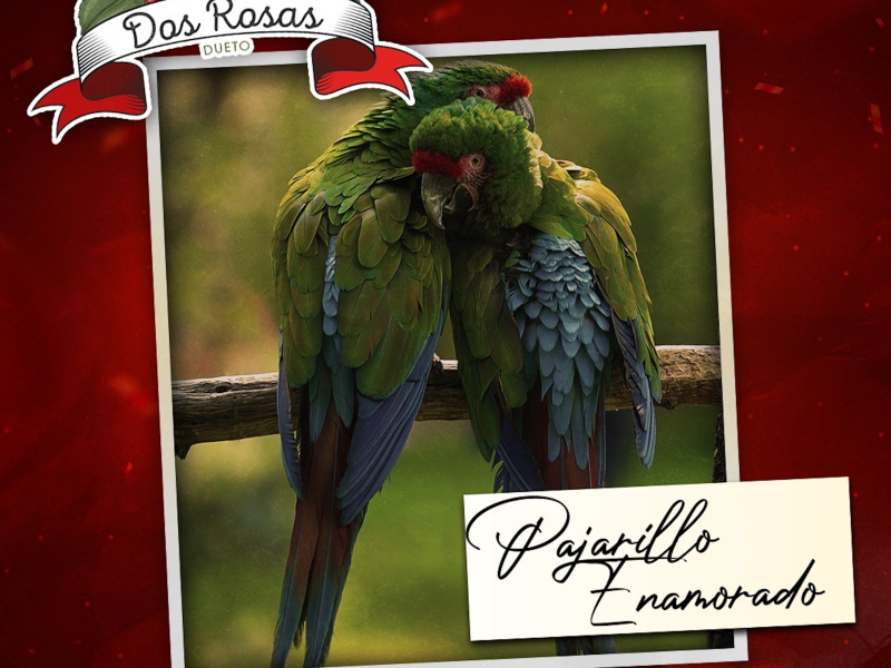 Pajarillo Enamorado (Single)