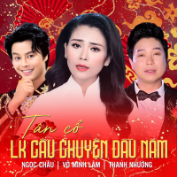 Tân Cổ LK Câu Chuyện Đầu Năm (Single)