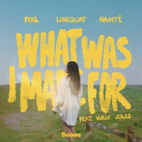 What Was I Made For (feat. Willy Jules) (Single)