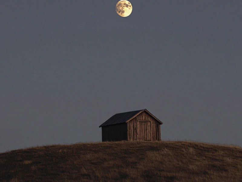 a letter from home (Single)