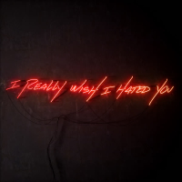 I Really Wish I Hated You (Single)