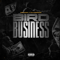 Bird Business (Single)