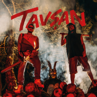 Tavşan (Single)