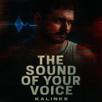 The Sound of Your Voice (Single)