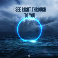 I See Right Through to You (Single)