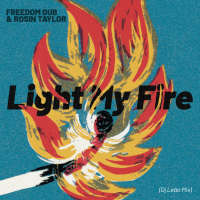 Light My Fire (Dj Leao Mix) (Single)