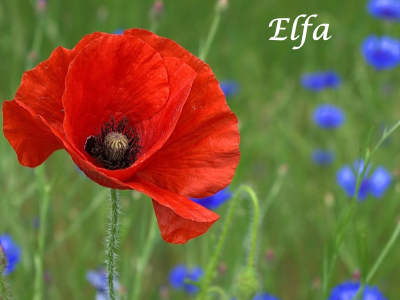 GOT TO BE SOMETHING (Single)