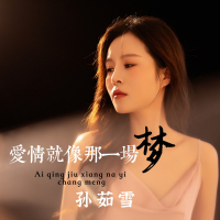 爱情就像那一场梦 (Single)