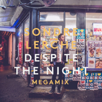 Despite the Night (Megamix) (Single)