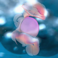 Best regards (Single)