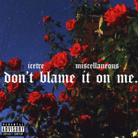 Don't Blame It On Me (feat. Miscellaneous) (Single)