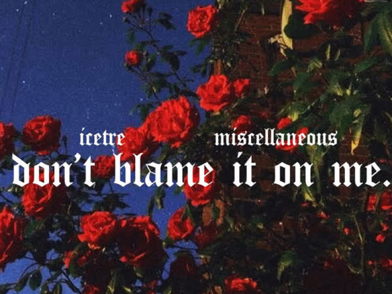 Don't Blame It On Me (feat. Miscellaneous) (Single)