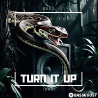 Turn It Up (Single)