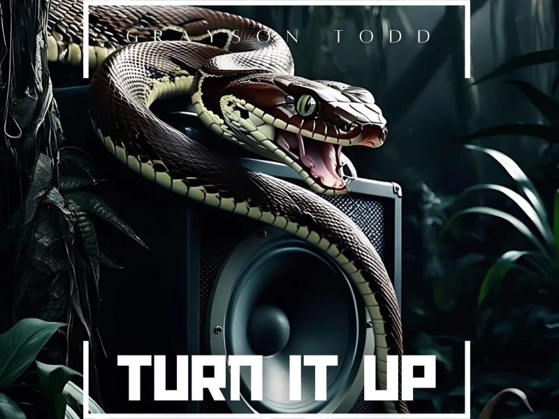 Turn It Up (Single)