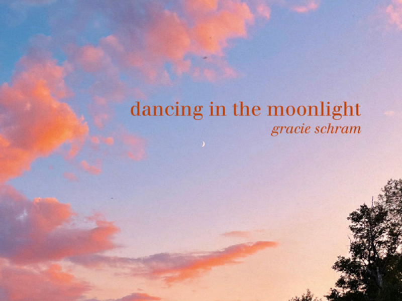 dancing in the moonlight (Single)