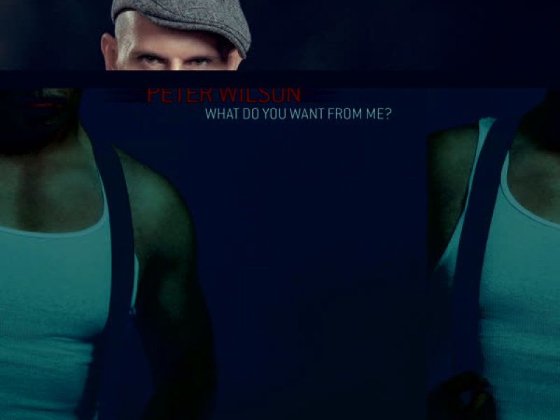 Everything We Had / What Do You Want From Me (EP)