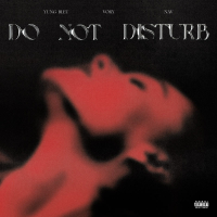 Do Not Disturb (Single)