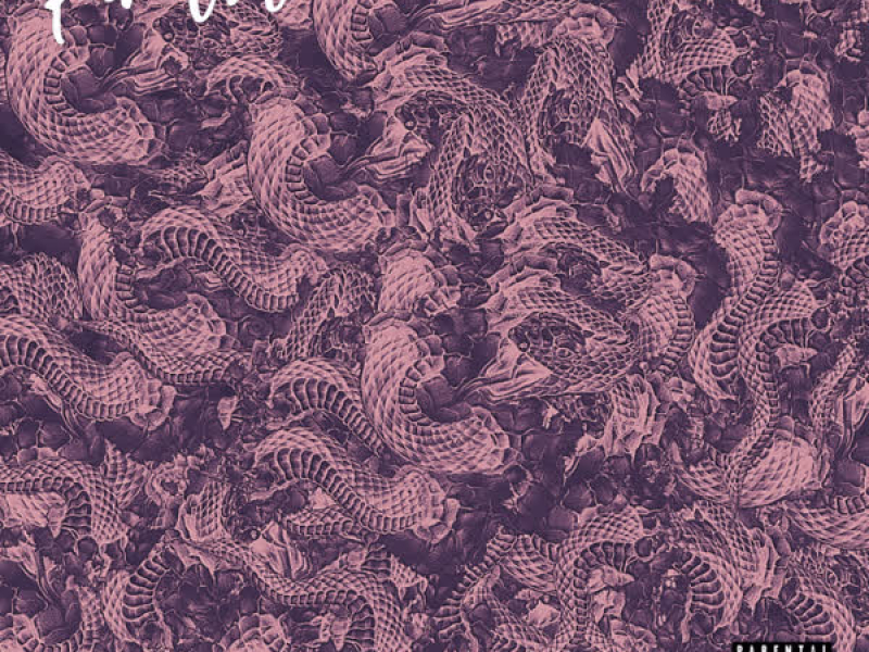 Snake (Single)
