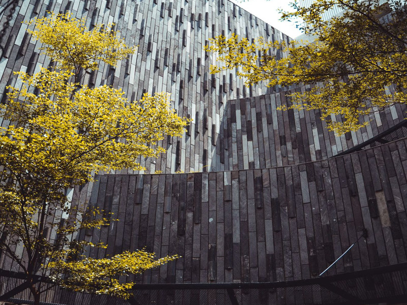 No Stress Room (Single)