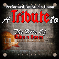 A Tribute to the Hits of Guns 'n' Roses