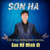 Liên Khúc Không Đánh Mà Đau - Sao Nỡ Mình Ơi (Single)