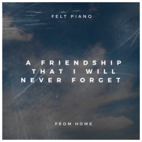 A Friendship That I Will Never Forget (Single)