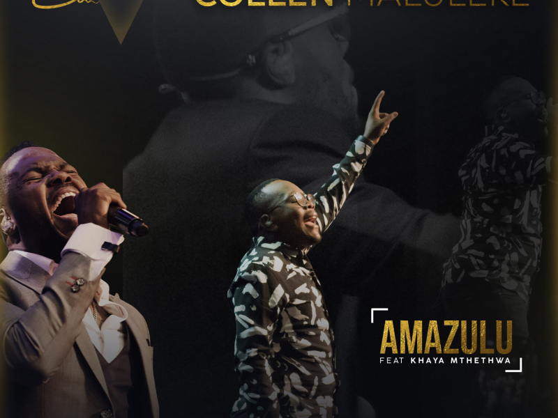 Amazulu (Live) (Single)