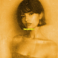 beaches (slowed & reeverb hoodtrap remix) (Single)