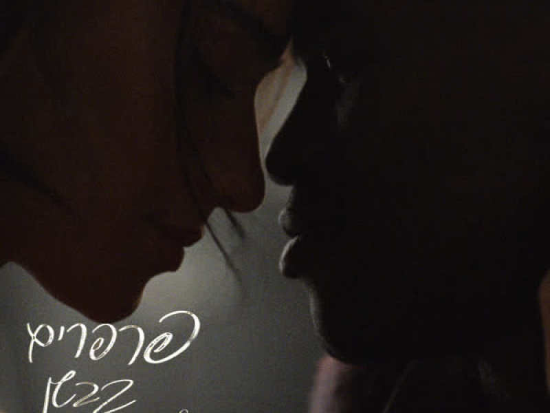 פרפרים בבטן (Single)