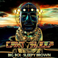 Can't Sleep (Single)