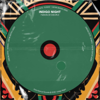 Indigo Nights (Single)