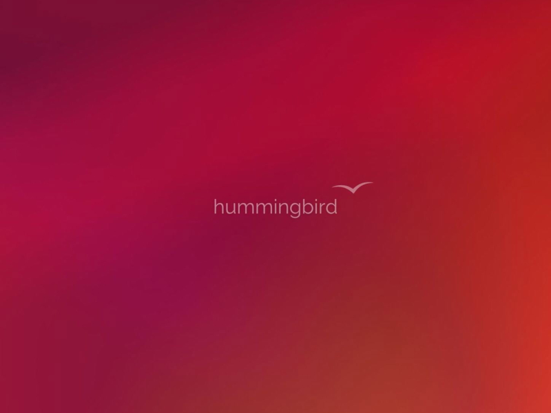 Hummingbird (Single)