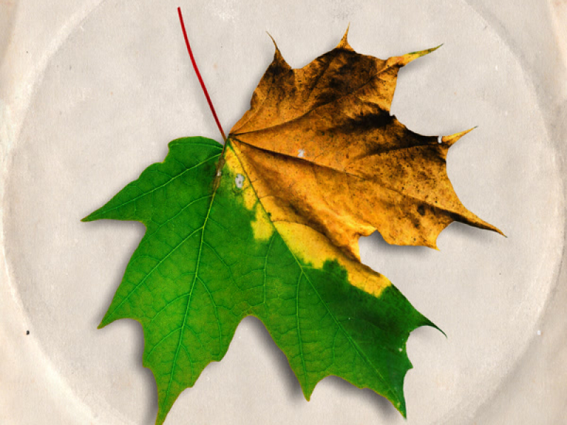 Love & Hate (Single)