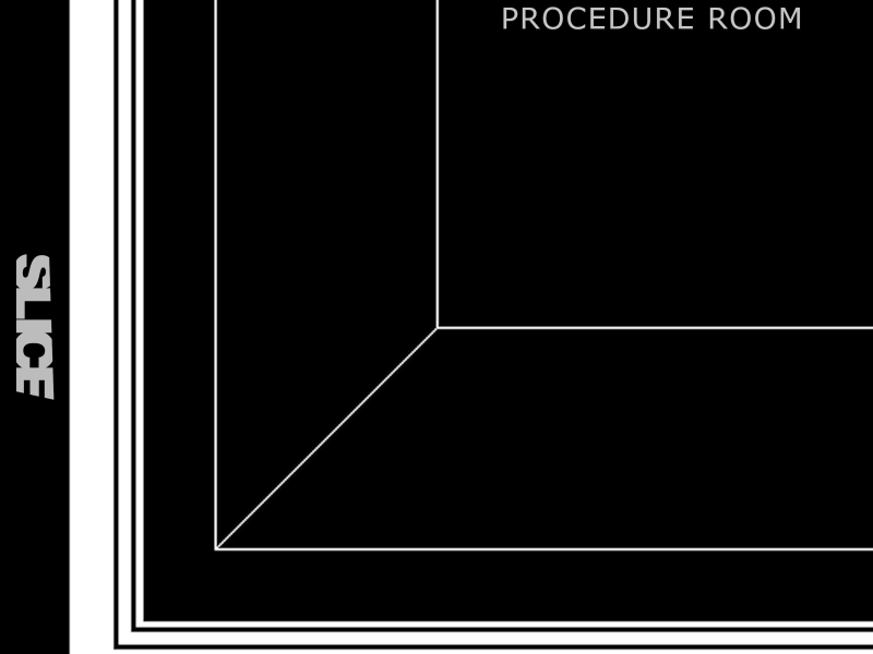 Procedure Room (EP)