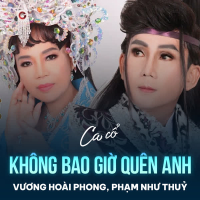 Không Bao Giờ Quên Anh (Single)