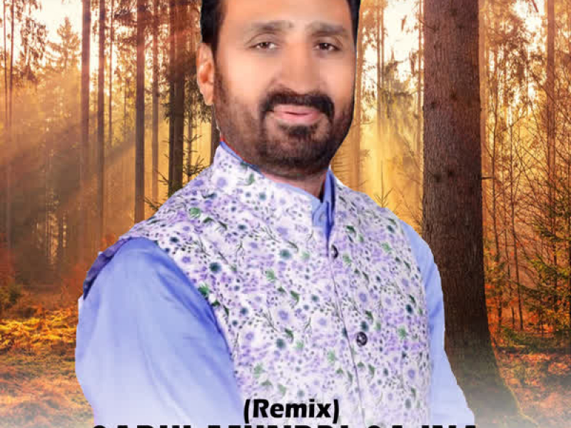 Sadhi Mundri Sajna (Remix) - Single