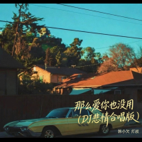 那么爱你也没用 (Dj悲情合唱版) (Single)