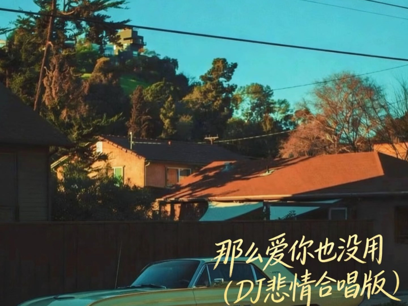 那么爱你也没用 (Dj悲情合唱版) (Single)