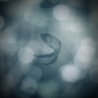 Clear waters (Single)