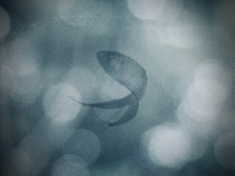 Clear waters (Single)