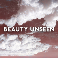 Beauty Unseen (Single)