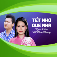 Tết Nhớ Quê Nhà (Single)