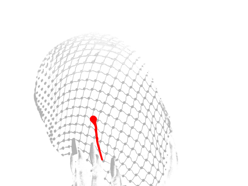 Please Don't Cry (Acapella)