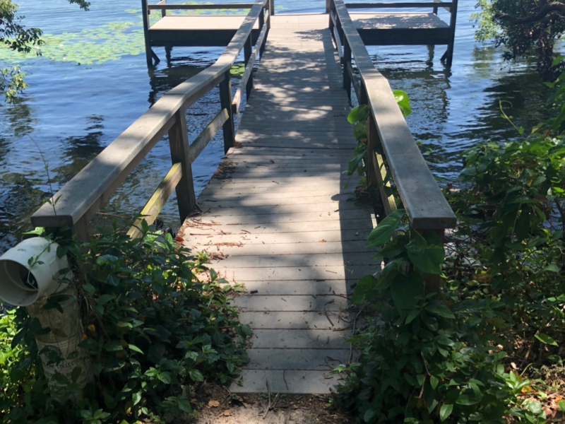 The Children (Single)