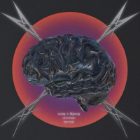 amnesie (remix) (Single)