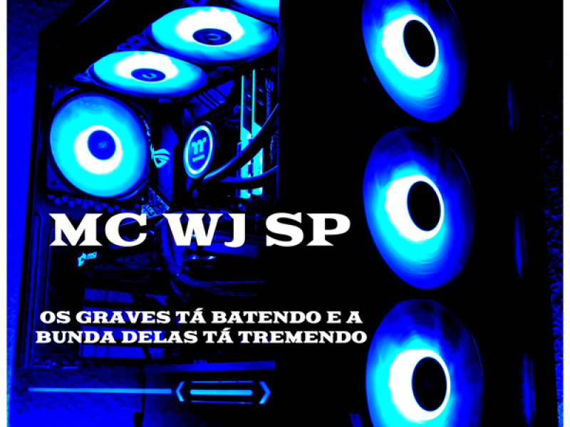 PAREDÃO UNINHO DA ZL Os Grave Tá Batendo E A Bunda Delas Tá Tremendo (Single)