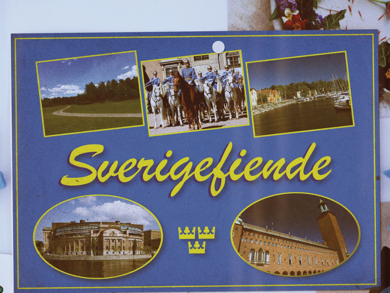 Sverigefiende (Fest mot våldsgrupp)