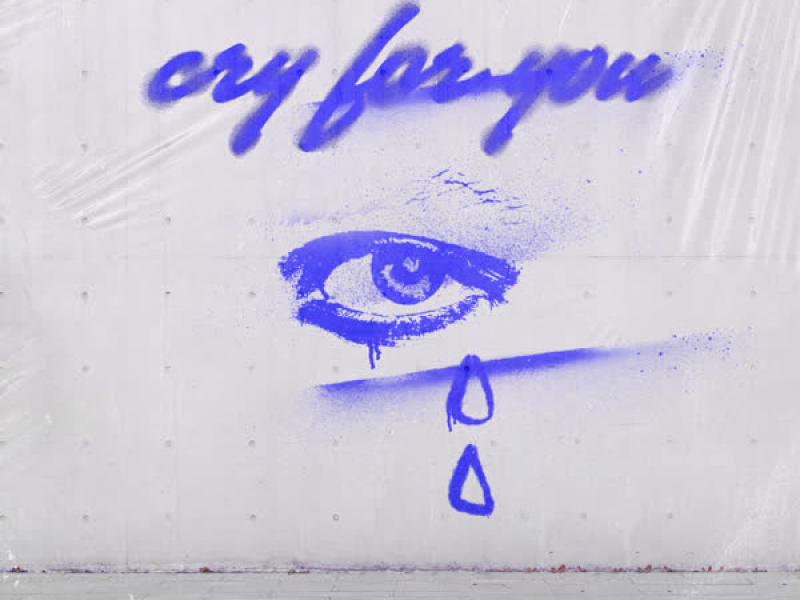 Cry for You (Single)